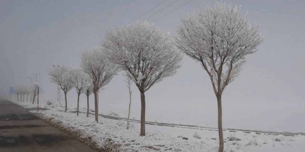 Bitlis’te dondurucu soğuk etkili oluyor: Hava sıcaklığı eksi 13,8 dereceyi gördü 4